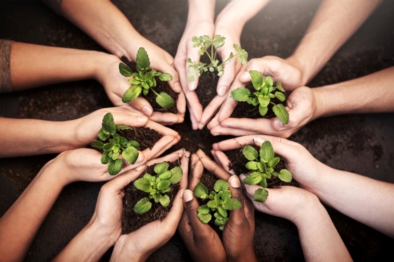 Social Responsibility Projects